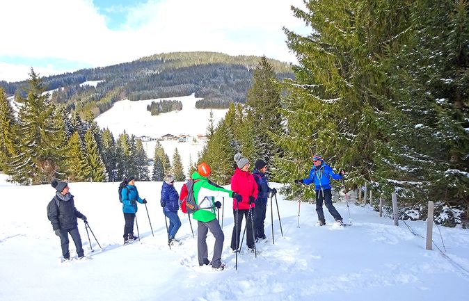 Gruppe von Schneeschuhwanderern vor verschneitem Tannenwald