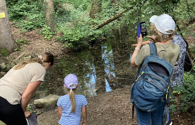 Teilnehmende der Gesundheitstage beobachten und fotografieren einen Waldbach im Wald