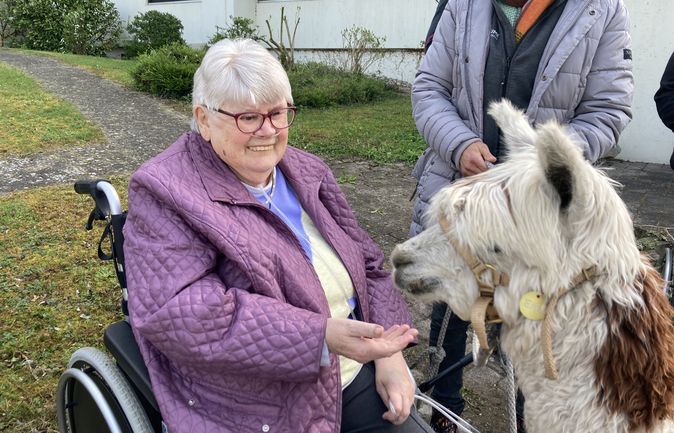 Seniorin im Rollstuhl streckt Hand zu Alpaka beim Besuch im Seniorenzentrum