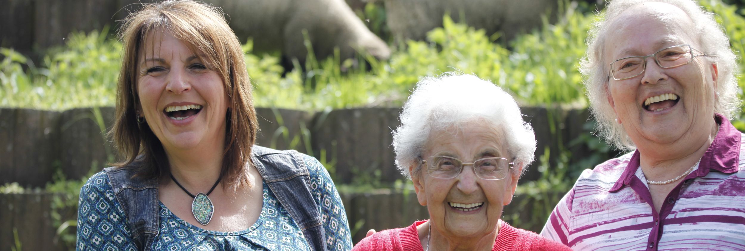 Drei lächelnde Frauen im Garten mit Schafen im Hintergrund